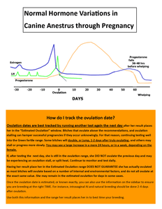 Finecare Vet Canine Progesterone