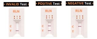 Pregnancy Test for dogs you can use at home. Easy to use and read!