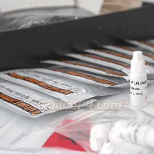 Dog Pregnancy Test for at home testing