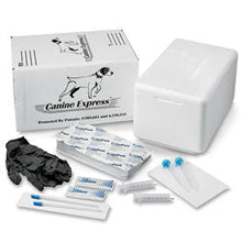 Load image into Gallery viewer, Canine Express Sperm Insulated Transport Shipper