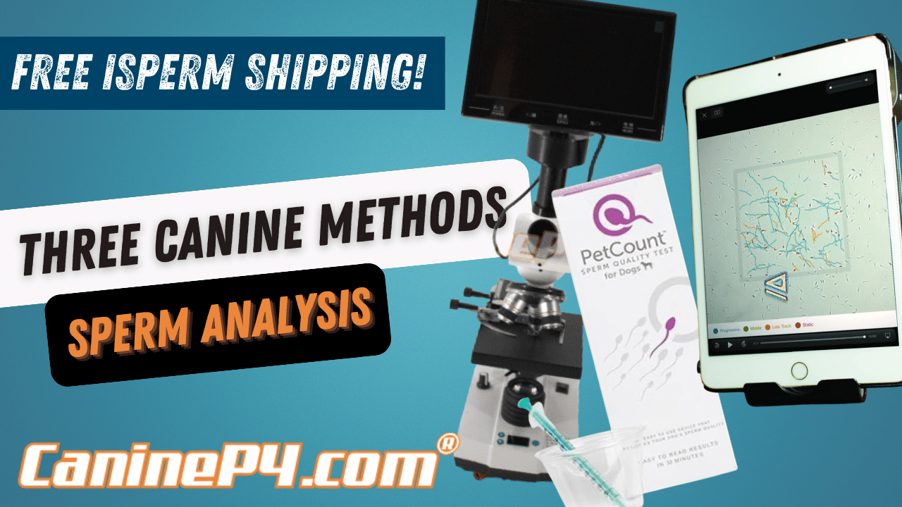Canine Sperm  Analysis Microscopes - Ultimate Guide