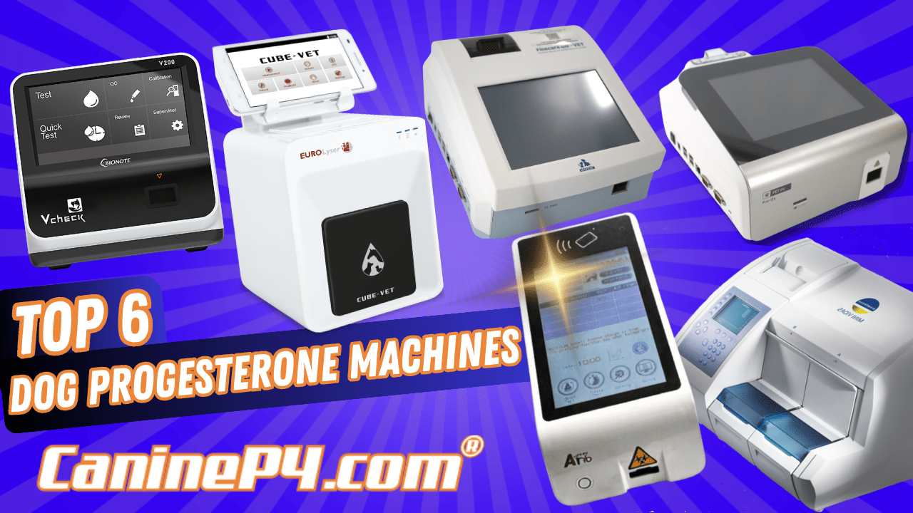5-tips-canine-progesterone-testing