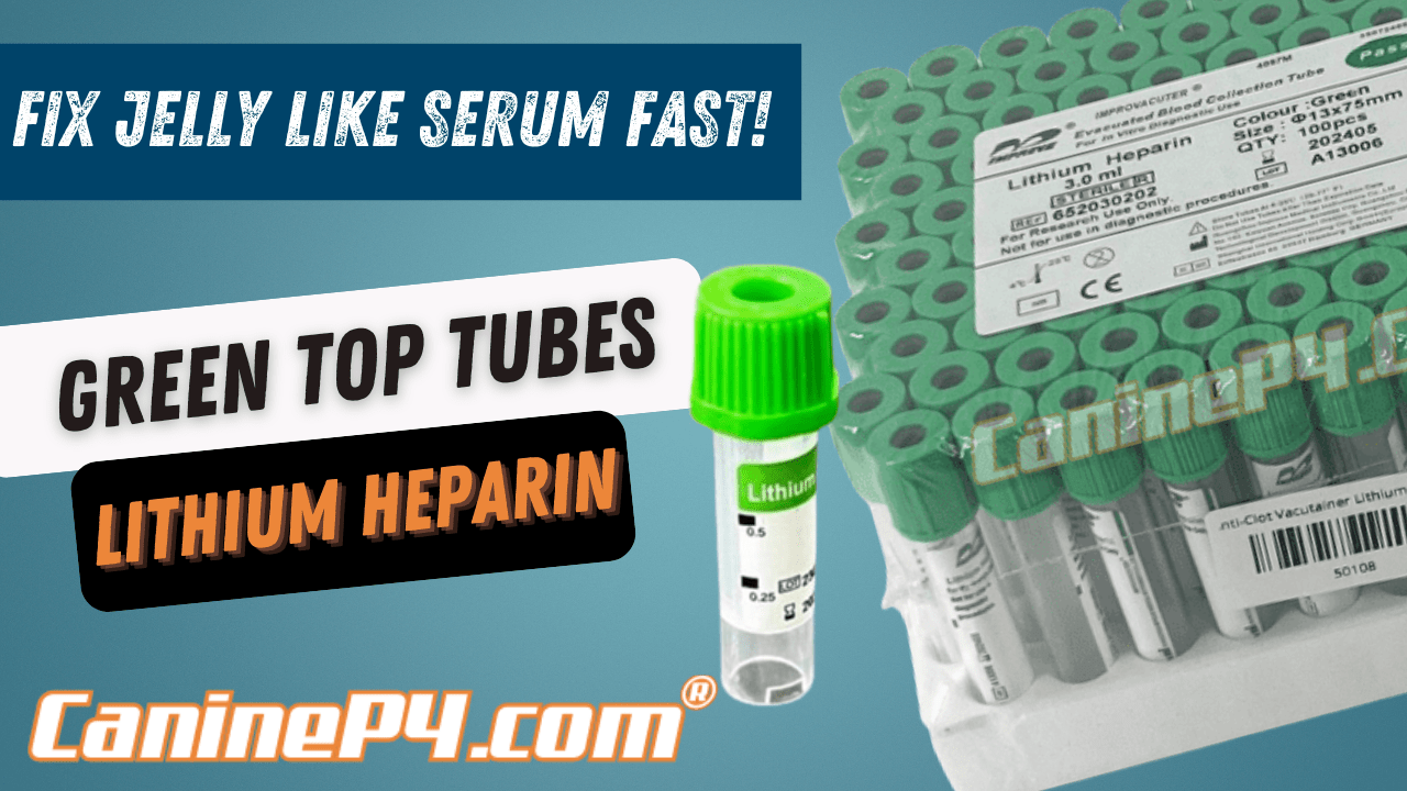 Jelly like serum in your dogs progesterone testing? Fix it Fast