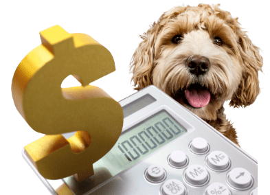 What is the Cost per test on a Canine Progesterone Machine