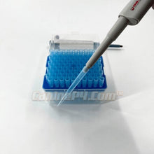 Load image into Gallery viewer, 100 - 1000 ul Pipette Tips - 1 Rack (96 tip ct) - Canine P4