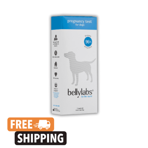 Bellylabs Pregnancy Test for Dogs