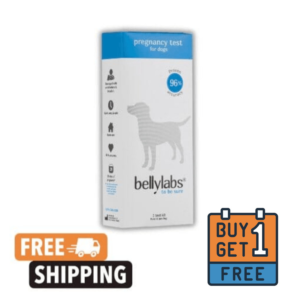 Belly labs Dog Pregnancy Test