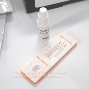 Brucellosis Test for Dogs