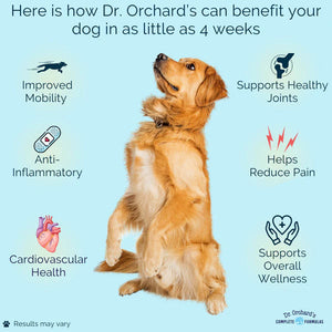 Dog Hip and Joint Supplement