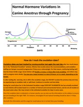 Load image into Gallery viewer, Finecare Vet Canine Progesterone Bundle