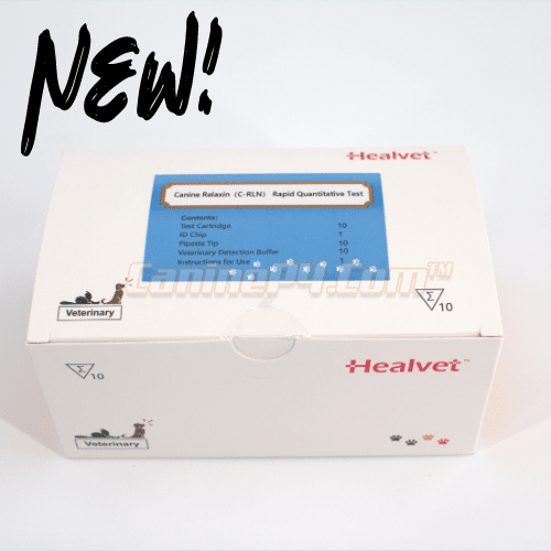 Healvet 3000 Pregnancy Test For Dogs (10ct)