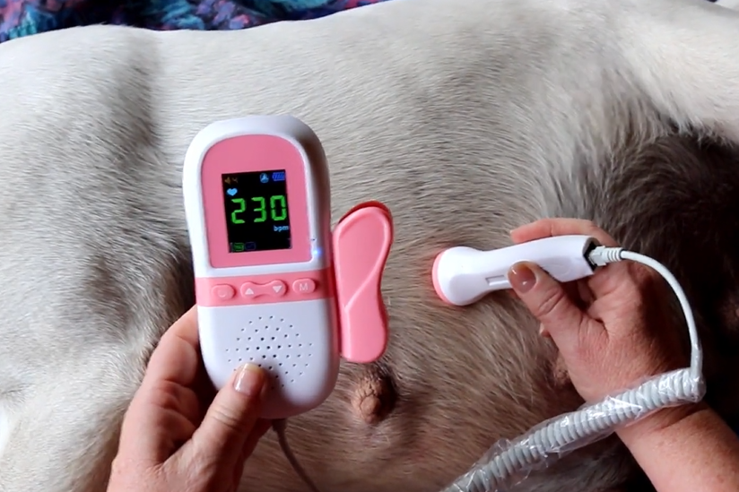 Puppy Fetal Heart Rate Monitor 