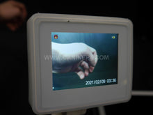 Load image into Gallery viewer, Artificial Insemination AI Probe Kit - Canine P4