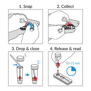 Bellylabs Pregnancy Test for Dogs - Canine P4