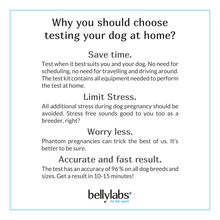 Load image into Gallery viewer, Bellylabs Pregnancy Test for Dogs - Canine P4