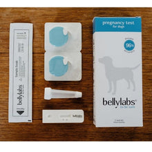 Load image into Gallery viewer, Bellylabs Pregnancy Test for Dogs - Canine P4