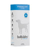 Bellylabs Pregnancy Test for Dogs - Canine P4