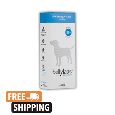 Belly Labs canine pregnancy test kit retail box with test cassette lancet and buffer tube
