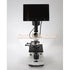 Breeder Canine Analysis Microscope 1000x - Canine P4