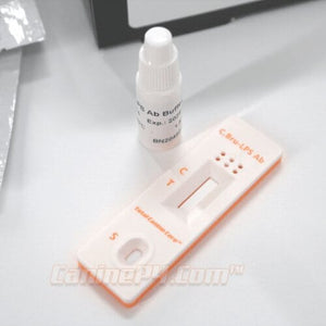 Brucellosis Test for Dogs - Canine P4