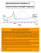 Load image into Gallery viewer, Finecare Vet Canine Progesterone Bundle - Canine P4