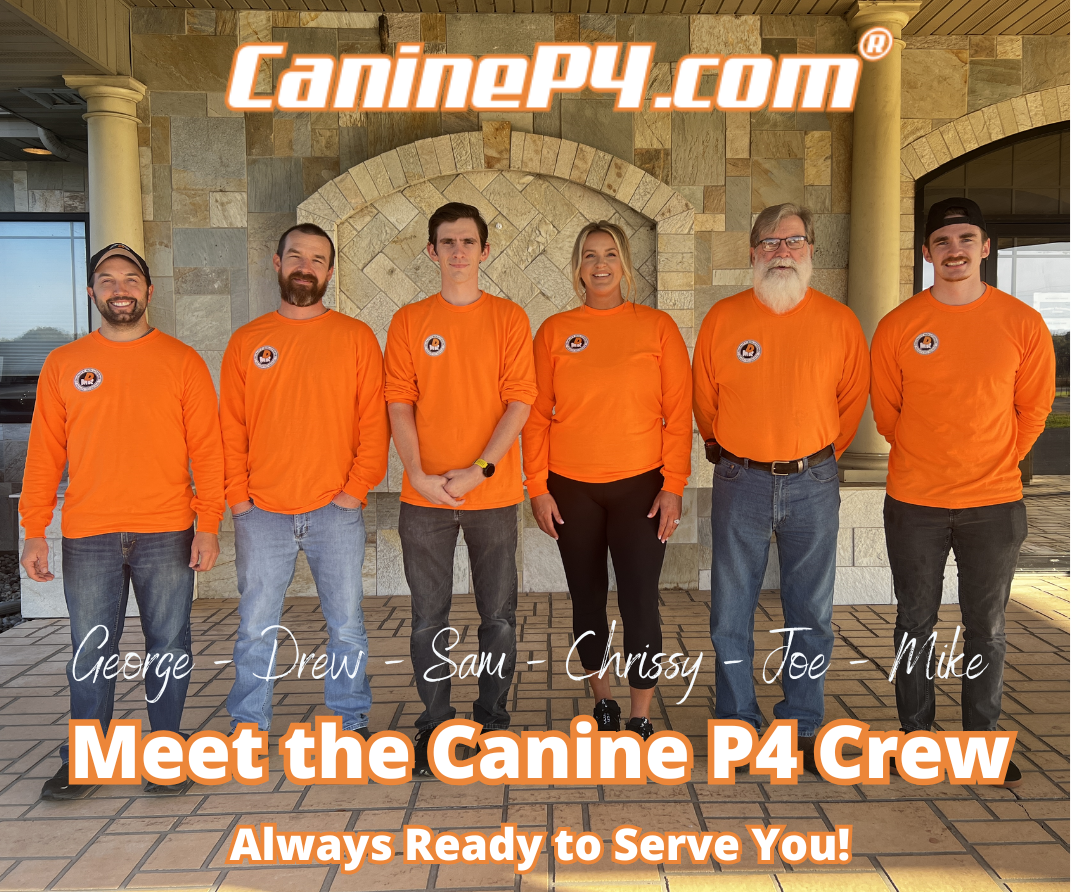 Meet the Canine P4 Crew - George, Drew, Sam, Chrissy, Joe, Mike