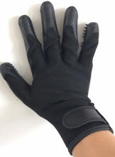 Load image into Gallery viewer, Grooming Gloves - Canine P4