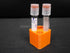 MRDS 4 Position Vacutainer Tube Rack - Canine P4