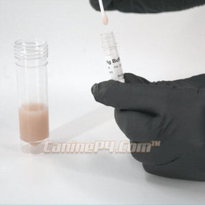 Parvo Test Kit Canine - Canine P4