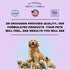 Pregnancy Pro Prenatal Vitamin For Dogs (90 ct) - Canine P4