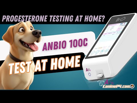 Anbio 100c Canine Progesterone Testing Machine