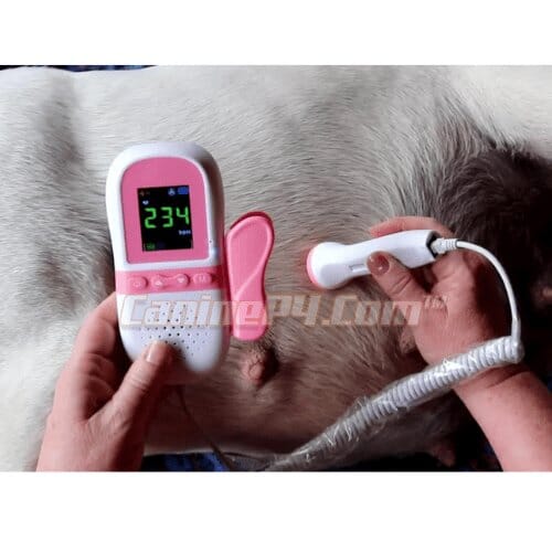 Puppy Fetal Heart Rate Monitor - Canine P4