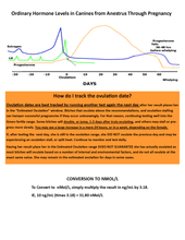 Load image into Gallery viewer, Quick Scan MINI™ - Ovulation Detector (Analyzer Only) - Canine P4