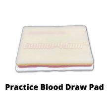 Load image into Gallery viewer, Phlebotomy and Venipuncture Practice Kit - Canine P4