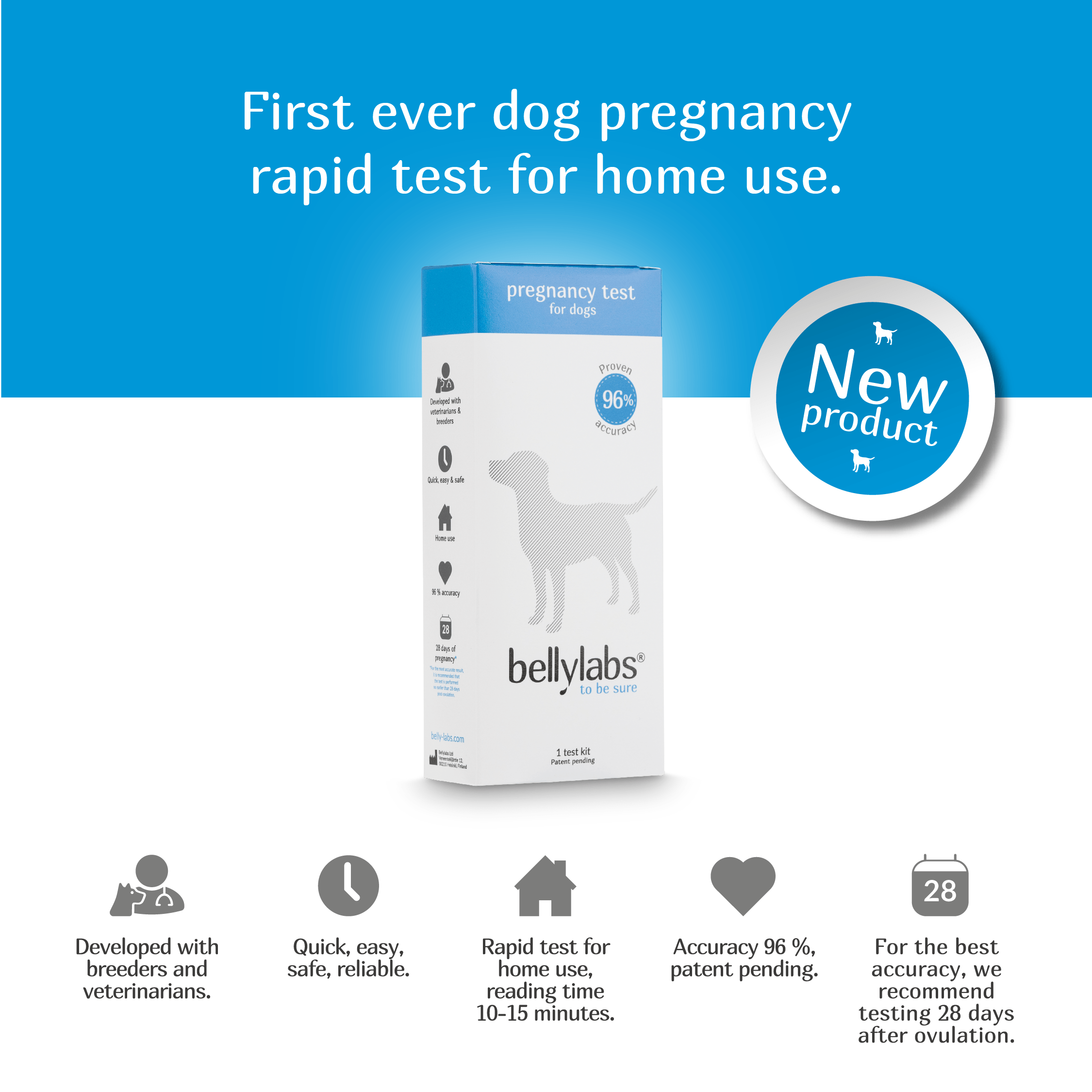 minus Rindende Inficere Bellylabs® Pregnancy Test for Dogs