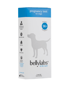 Bellylabs® Pregnancy Test for Dogs