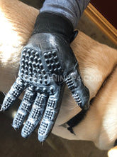 Load image into Gallery viewer, Canine Grooming Gloves - Canine P4 Dot Com