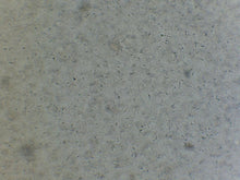Load image into Gallery viewer, Canine Semen Analysis Dual Screen &amp; Binocular Microscope Kit - Canine P4 Dot Com
