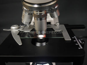 Canine Semen Analysis Microscope - Canine P4 Dot Com