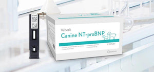 Vcheck V200-2400 NT-pro BNP 5 Test Kits - Canine P4 Dot Com